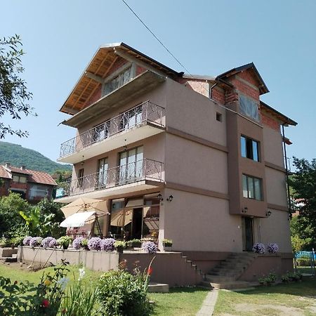 Guest House Dimitrije Niska Banja Esterno foto