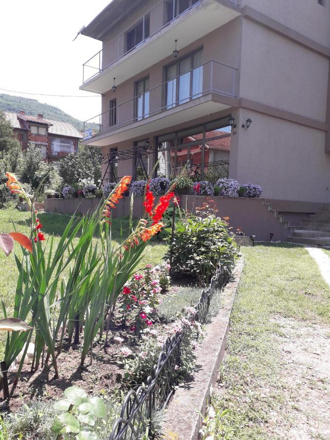 Guest House Dimitrije Niska Banja Esterno foto