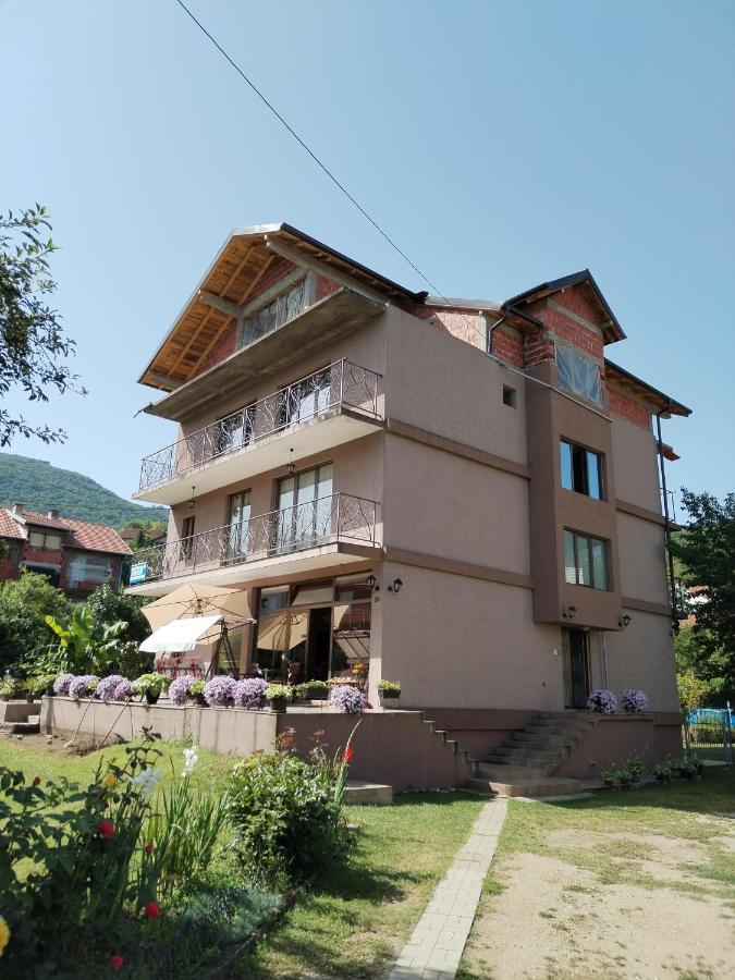 Guest House Dimitrije Niska Banja Esterno foto