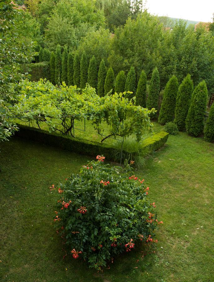 Guest House Dimitrije Niska Banja Esterno foto