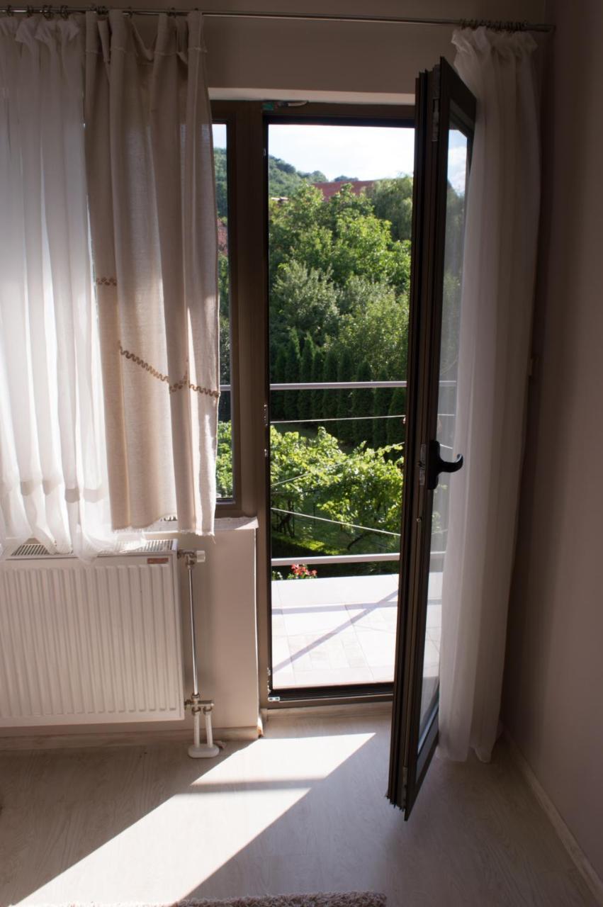 Guest House Dimitrije Niska Banja Esterno foto
